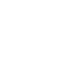 Black Mesa Security Logo